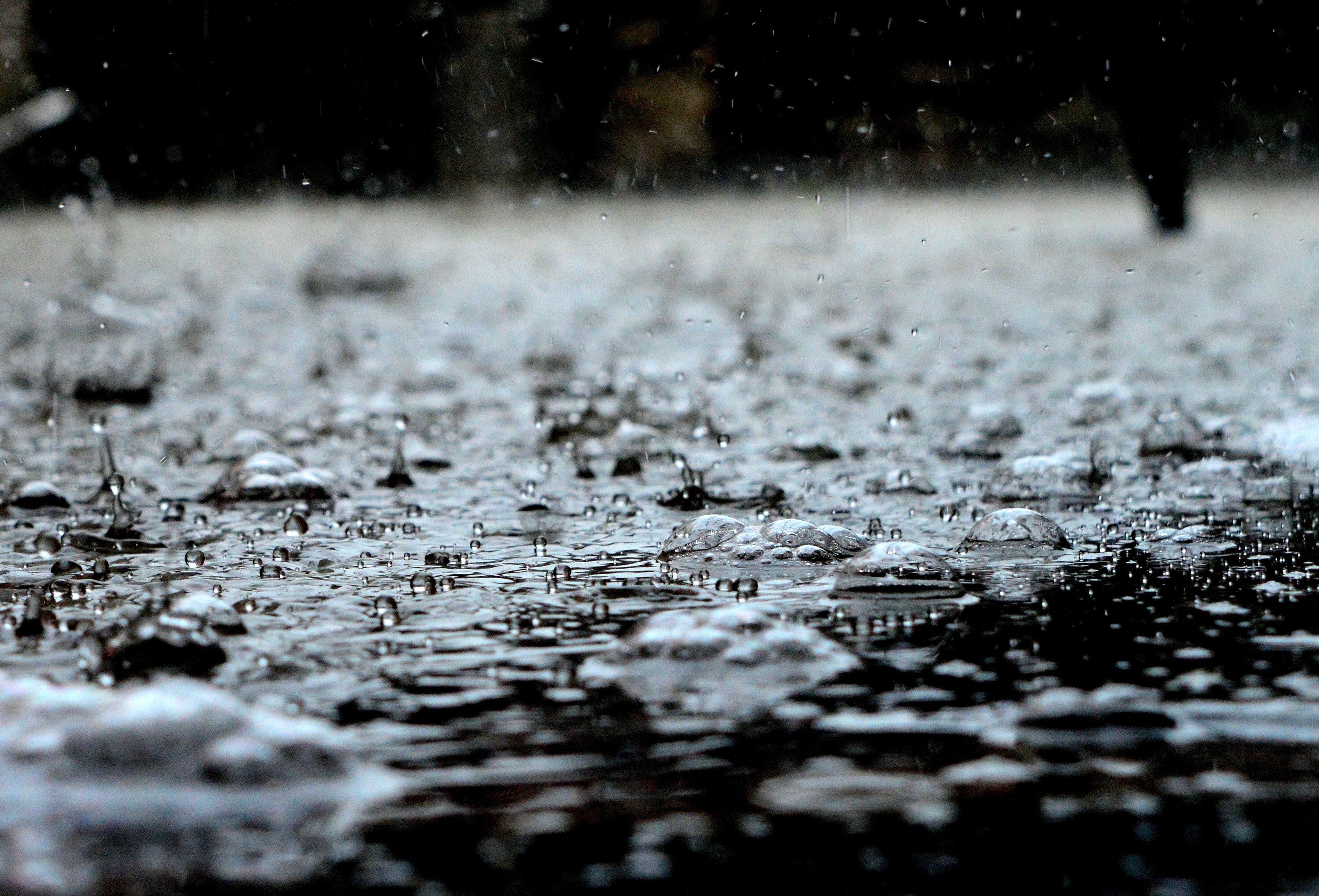 雨季即將來臨，關於校園惡劣天氣安排的重要提示和建議